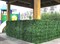 Забор изгородь из искусственной травы сетка 2881